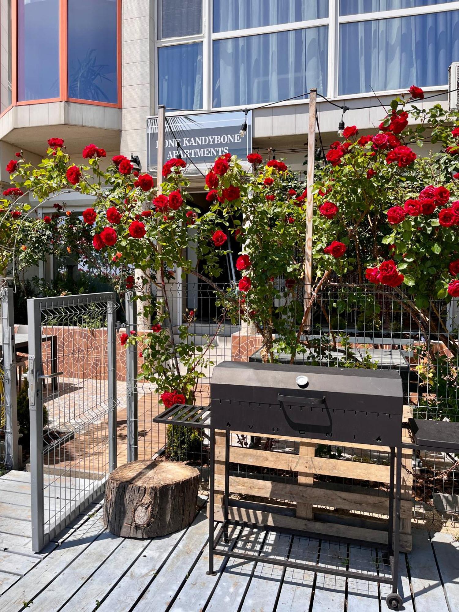 Done Kandybone Apartments بورلاكا بالكا المظهر الخارجي الصورة